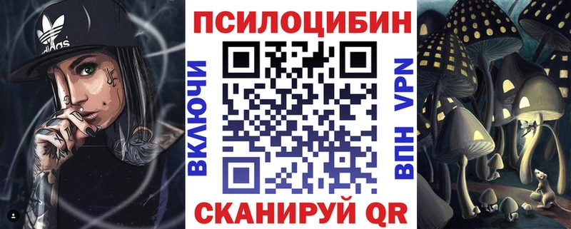 Купить  Мышкин  Псилоцибиновые грибы мицелий 
